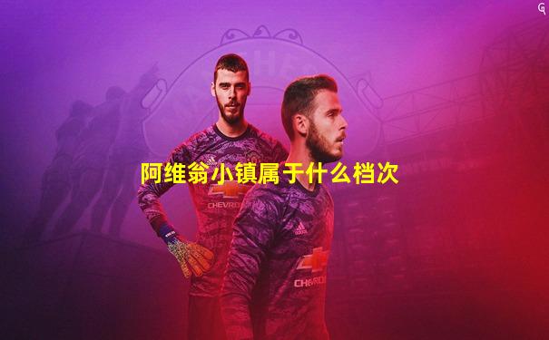 阿维翁小镇属于什么档次