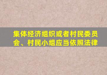 集体经济组织或者村民委员会、村民小组应当依照法律