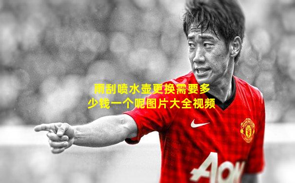 雨刮喷水壶更换需要多少钱一个呢图片大全视频
