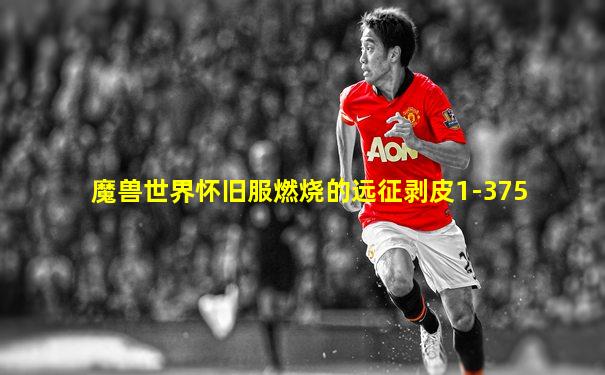魔兽世界怀旧服燃烧的远征剥皮1-375