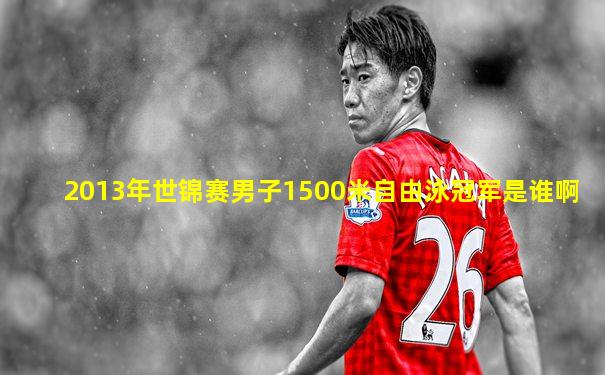 2013年世锦赛男子1500米自由泳冠军是谁啊