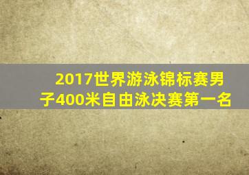 2017世界游泳锦标赛男子400米自由泳决赛第一名