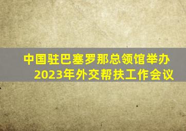 中国驻巴塞罗那总领馆举办2023年外交帮扶工作会议