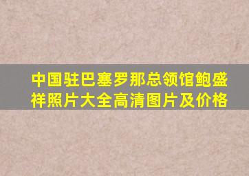 中国驻巴塞罗那总领馆鲍盛祥照片大全高清图片及价格