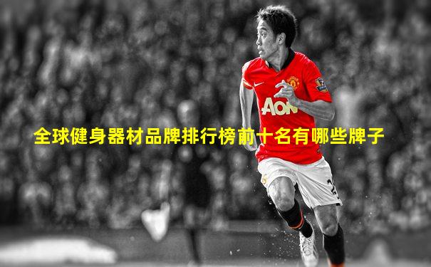 全球健身器材品牌排行榜前十名有哪些牌子
