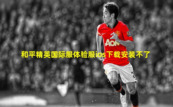 和平精英国际服体验服ios下载安装不了