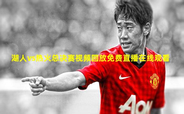湖人vs热火总决赛视频回放免费直播在线观看