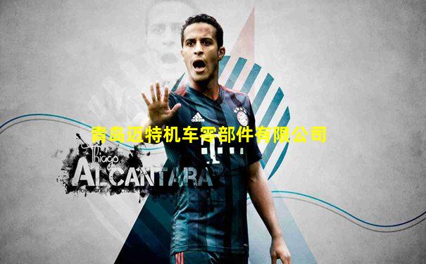 青岛迈特机车零部件有限公司